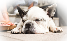 Die unendliche Kreativität