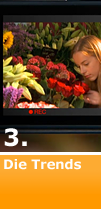 Die Trends