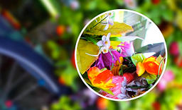 Die perfekte Bildqualität