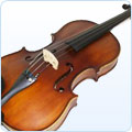Violine