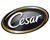 Cesar Hundefutter