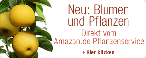 Blumen und Pflanzen vom Amazon.de Pflanzenservice