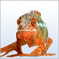 Reptilien