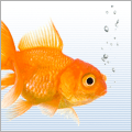 Fische