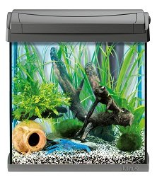 AquaArt Crayfish Aquarium-Komplett-Set 30 L, f&uuml;r Krebse und Garnelen mit innovativer Technik und einfacher Pflege