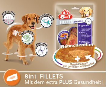 8in1 Fillets Hundesnacks