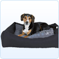 Hundebetten & Möbel