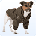 Hundebekleidung & Hundemode