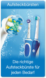 Aufsteckb�rsten