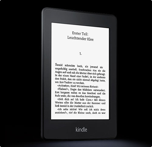 Was Kindle-Besitzer denken