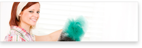 Wie reinigt man ein Rollo?