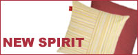 New Spirit