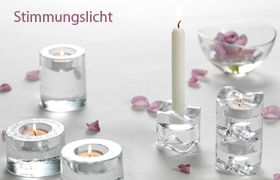 Einkaufsf�hrer Leuchtmittel