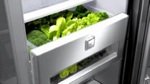 Abbildung Moist Balance Crisper