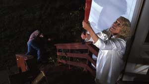 Another American Crime