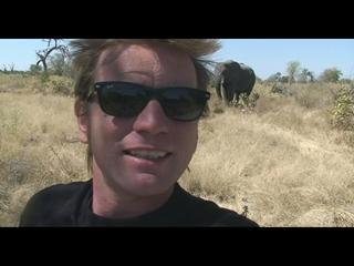Klicken, um dieses Video zu sehen
