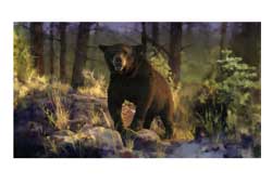 Adobe Photoshop Lightroom