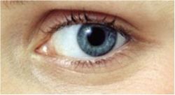 Paint Shop Pro Photo X2 Ultimate