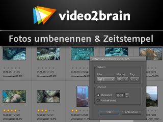 Klicken, um dieses Video zu sehen