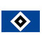 HSV