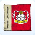 Bayer 04 Leverkusen