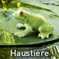 Schleich Haustiere