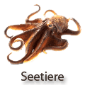 Schleich Seetiere