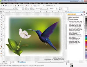 Corel Draw X5 Screenshot