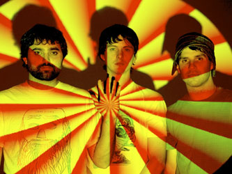  Animal Collective 