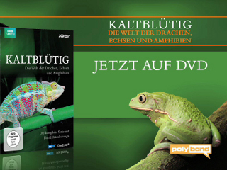 Klicken, um dieses Video zu sehen