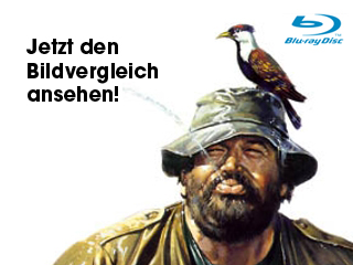 Klicken, um dieses Video zu sehen