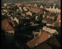 Der fliegende Ferdinand