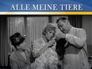 Klicken, um dieses Video zu sehen