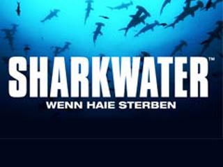 Klicken, um dieses Video zu sehen