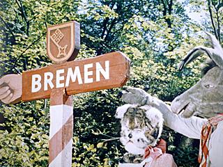 Klicken, um dieses Video zu sehen