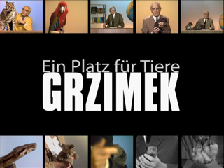Klicken, um dieses Video zu sehen
