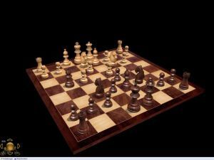 Profi Schach 5, Abbildung #05