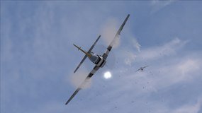 DCS P-51D Mustang, Abbildung #01