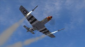 DCS P-51D Mustang, Abbildung #05