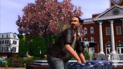 Die Sims 3