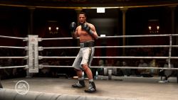 Fight Night Round 4