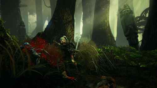 The Witcher 2