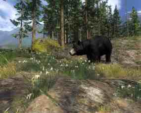 TheHunter 2012, Abbildung #01