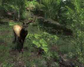 TheHunter 2012, Abbildung #02