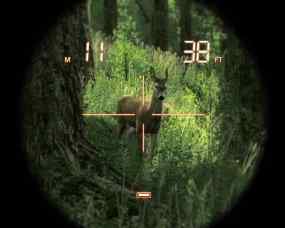 TheHunter 2012, Abbildung #03