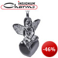 Insignum-Charms reduziert