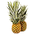 Lebensmittel & Getr�nke