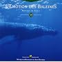 L'EMOTION DES BALEINES ~ Philippe Bestion