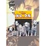 Les 101 dalmatiens, disney calin 
