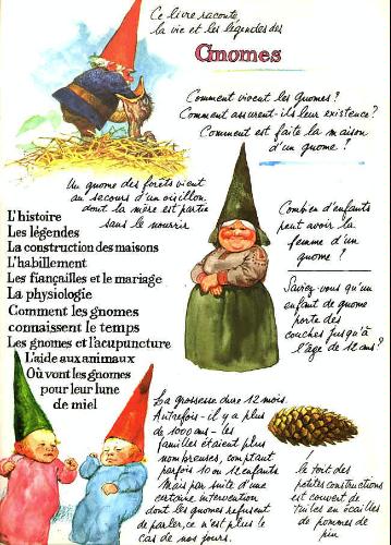 les gnomes2